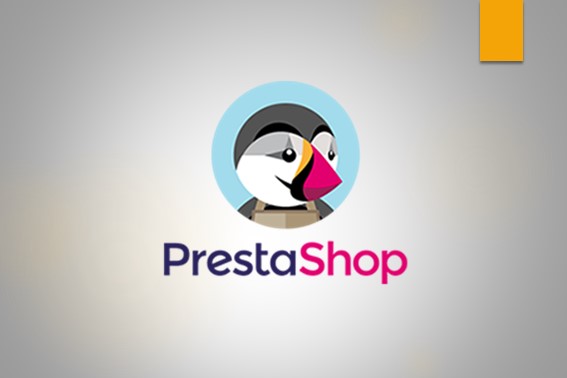Programmatore PrestaShop