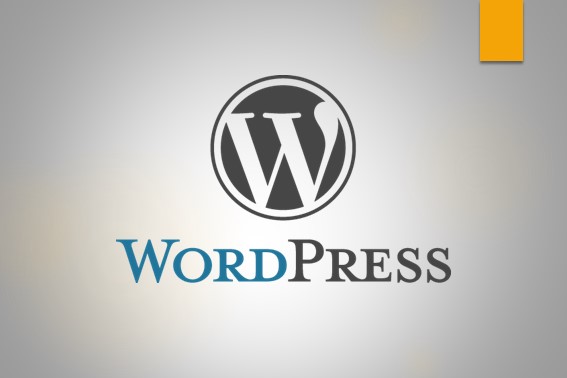 Programmatore WordPress